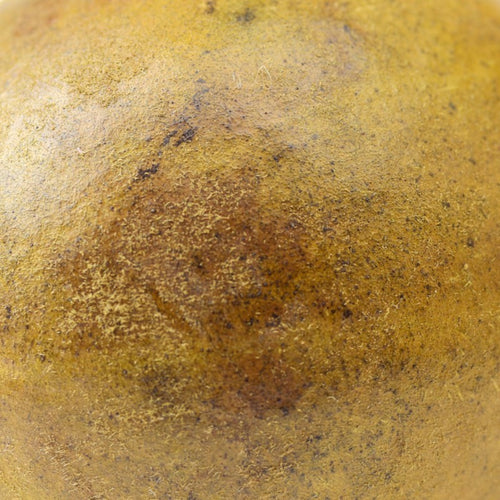 Organic Monk Fruit