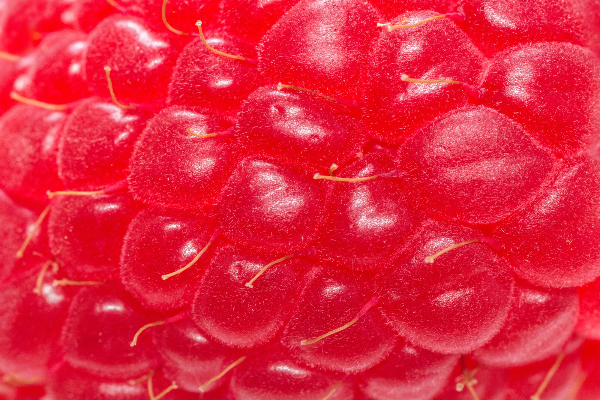 Raspberry