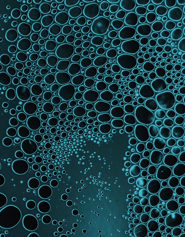 01 Paraxanthine