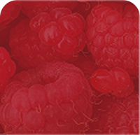 Raspberry