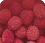 Lychee