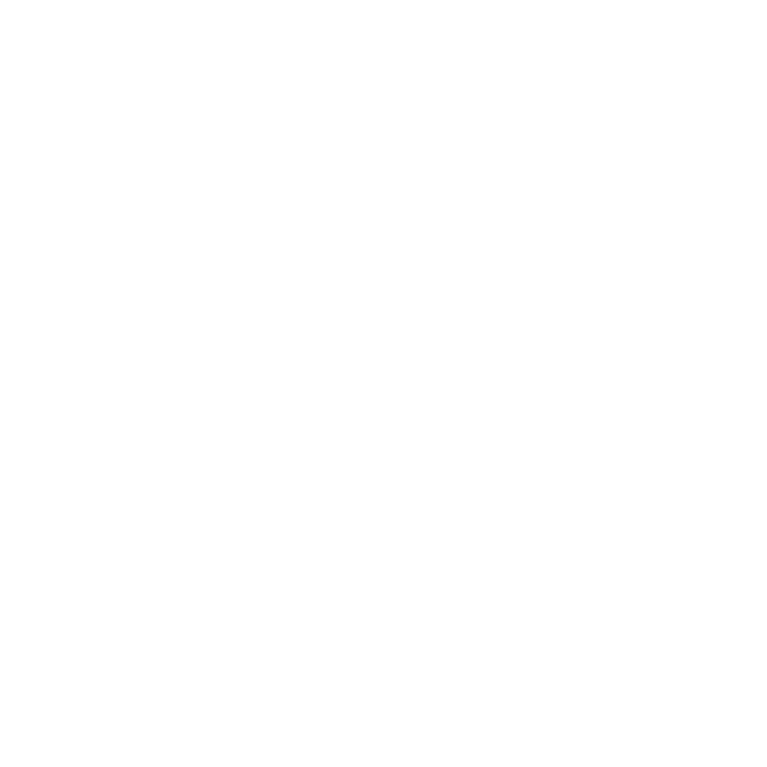 salt icon